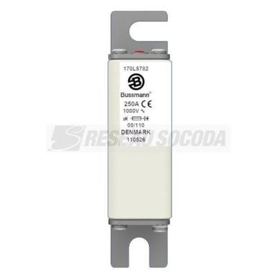  FUSE 250A 1000V 00/110 AR 