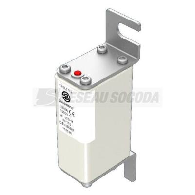  FUSE 250A 1000V 00/110 AR 