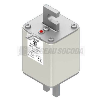  FUSE 250A 2000V 2TN/170 AR 