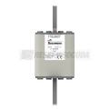  FUSE 450A 1000V 2STN/110 AR 
