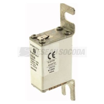  FUSE 250A 690V 000/80 AR UC 