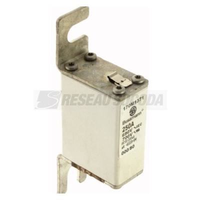  FUSE 250A 690V 000/80 AR UC 