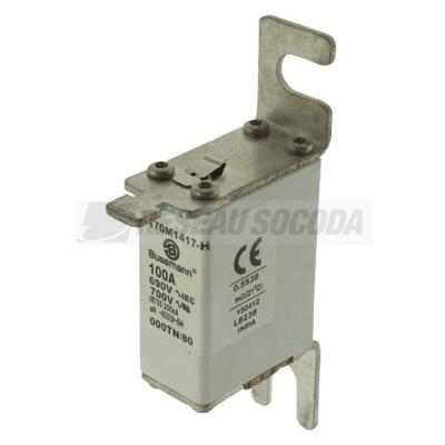  FUSE 100A 690V 000TN/80 AR 