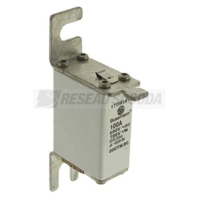  FUSE 100A 690V 000TN/80 AR 