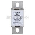  FUSE 100A 690V 000FU/70 AR CU 
