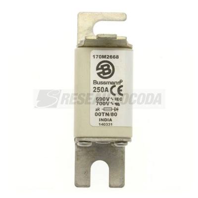  FUSE 250A 690V 00TN/80 AR UR 