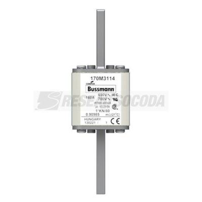  FUSE 160A 690V 1*KN/80 AR 