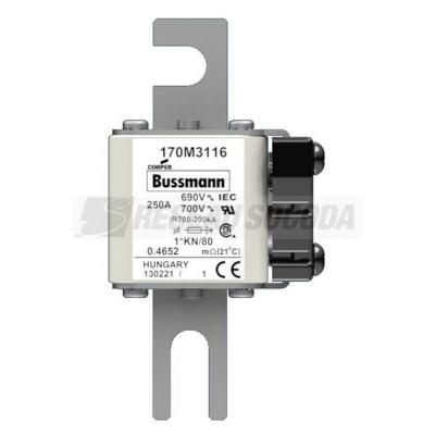  FUSE 250A 690V 1*KN/80 AR 