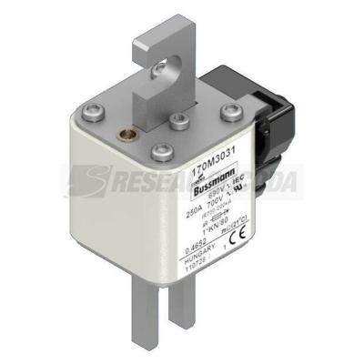  FUSE 250A 690V 1*KN/80 AR 