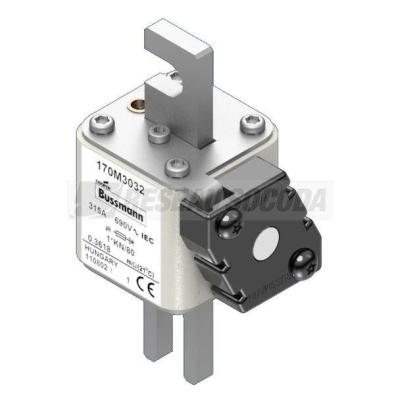  FUSE 315A 690V 1*KN/80 AR 
