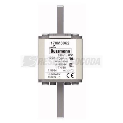  FUSE 100A 690V 1*TN/80 AR UC 