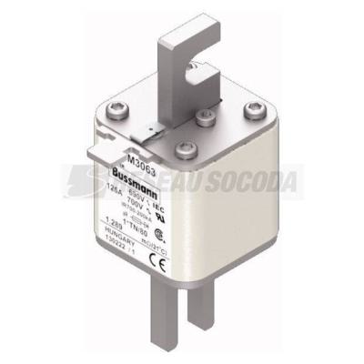  FUSE 125A 690V 1*TN/80 AR UC 