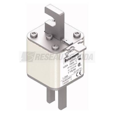  FUSE 125A 690V 1*TN/80 AR UC 