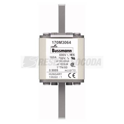  FUSE 160A 690V 1*TN/80 AR UC 