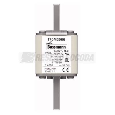  FUSE 250A 690V 1*TN/80 AR UC 