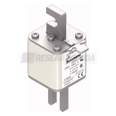  FUSE 250A 690V 1*TN/80 AR UC 