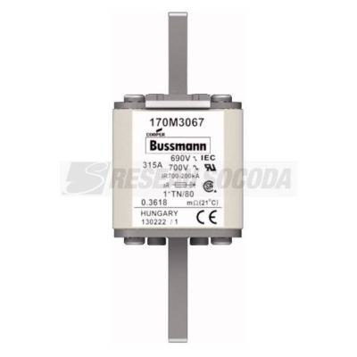  FUSE 315A 690V 1*TN/80 AR UC 