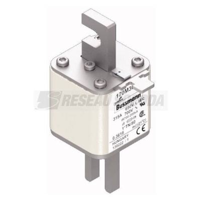  FUSE 315A 690V 1*TN/80 AR UC 