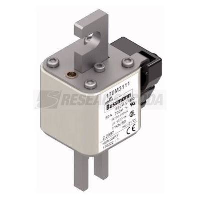  FUSE 80A 690V 1*KN/80 AR UC 