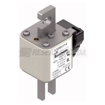  FUSE 160A 690V 1*KN/80 AR UC 