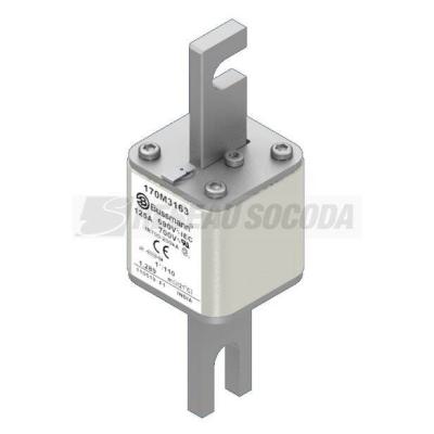  FUSE 125A 690V 1*/110 AR UC 