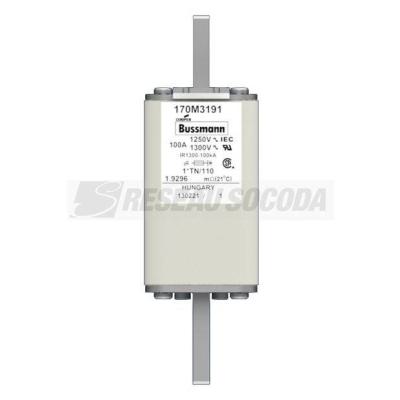  FUSE 100A 1250V 1*TN/110 AR CU 