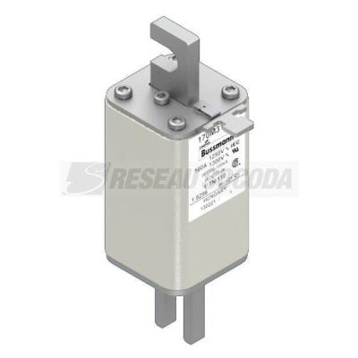  FUSE 100A 1250V 1*TN/110 AR CU 