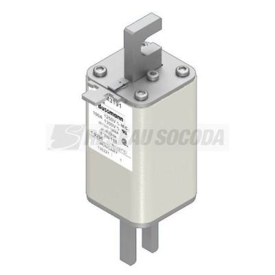  FUSE 100A 1250V 1*TN/110 AR CU 