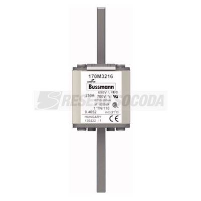  FUSE 250A 690V 1*TN/110 AR UC 
