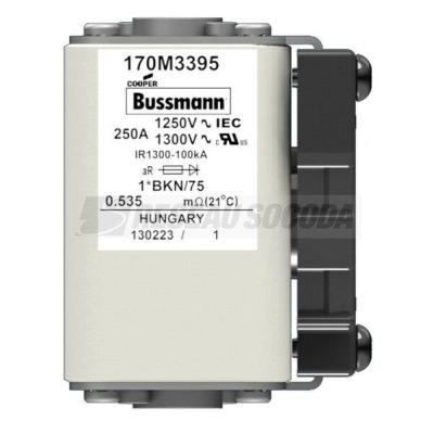  FUSE 250A 1250V 1*BKN/75 AR CU 