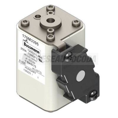  FUSE 250A 1250V 1*BKN/75 AR CU 