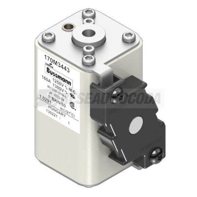  FUSE 160A 1250V 1*BKN/80 AR CU 