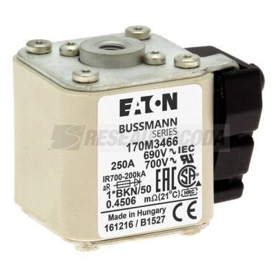  FUSE 250A 690V 1*BKN/50 AR UC 