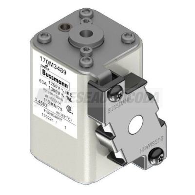 FUSE 63A 1250V 1*GKN/75 AR CU 