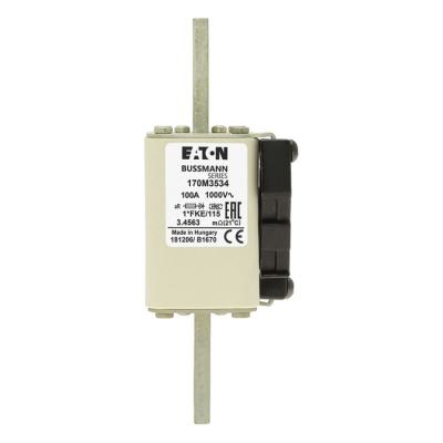  FUSE 100A 1000V 1*FKE/115 AR 