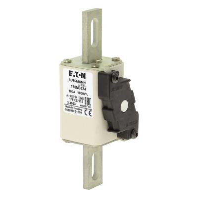  FUSE 100A 1000V 1*FKE/115 AR 