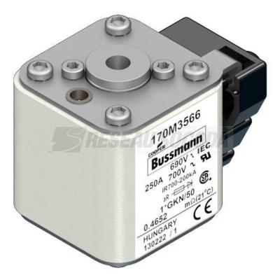  FUSE 250A 690V 1*GKN/50 AR UC 