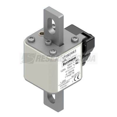  FUSE 125A 690V 1*FKE/78 AR UC 
