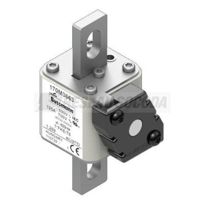  FUSE 125A 690V 1*FKE/78 AR UC 