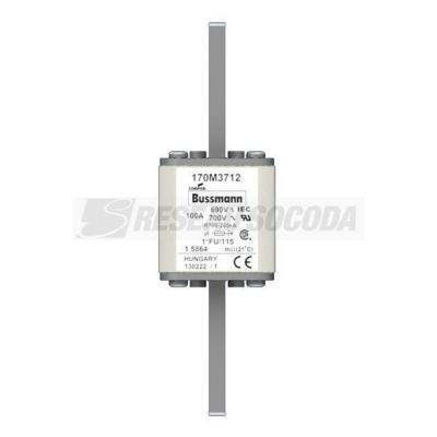  FUSE 100A 690V 1*FU/115 AR UC 