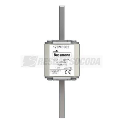  FUSE 125A 690V 1*STN/110 AR 