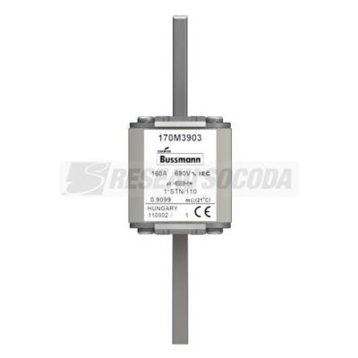  FUSE 160A 690V 1*STN/110 AR 