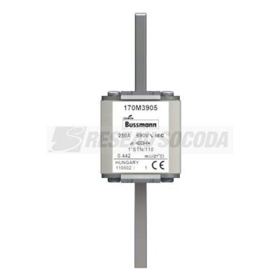  FUSE 250A 690V 1*STN/110 AR 