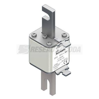  FUSE 250A 690V 1*STN/110 AR 