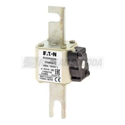  FUSE 250A 1000V 1*KN/110 AR 