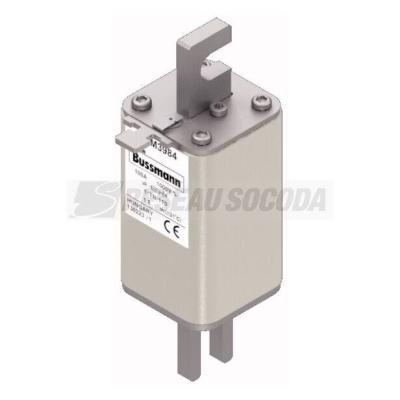  FUSE 100A 1000V 1*TN/110 AR 