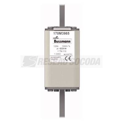  FUSE 125A 1000V 1*TN/110 AR 