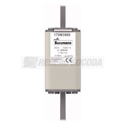  FUSE 250A 1000V 1*TN/110 AR 