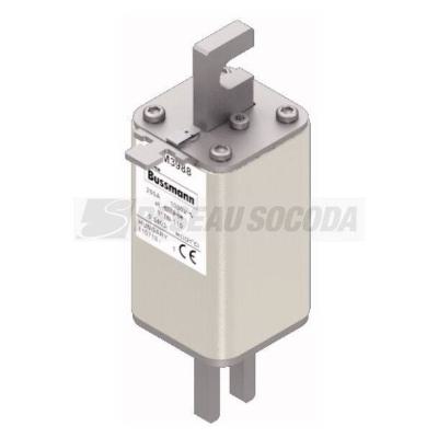  FUSE 250A 1000V 1*TN/110 AR 