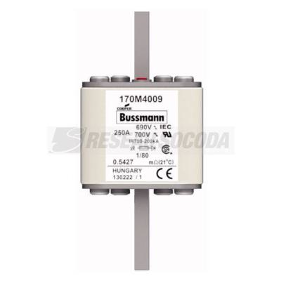  FUSE 250A 690V 1/80 AR UC 